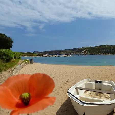 Appartement Il Mirto - Accogliente Bilocale A - Iun R5566